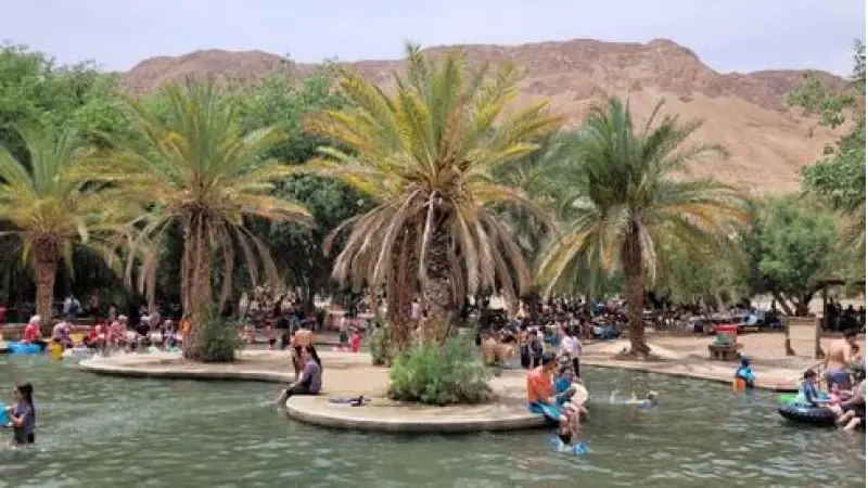 No description available