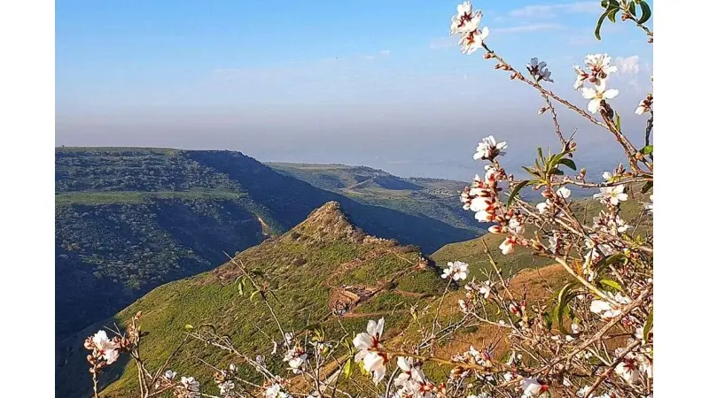מזג אוויר חורפי ונעים. שמורת גמלא. צילום: שרון אביעד, רשות הטבע והגנים