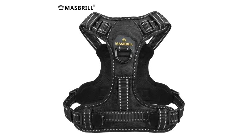 מבצעים באלי אקספרס