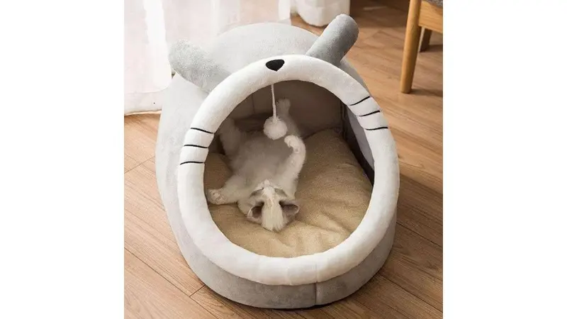 מבצעים באלי אקספרס