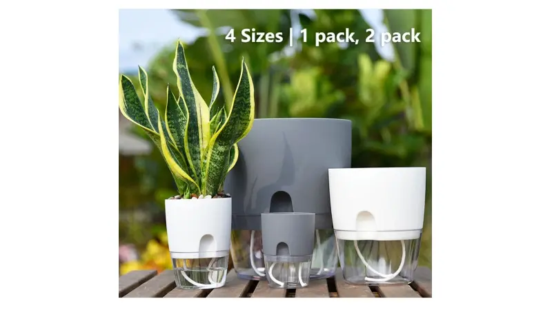 מבצעים באלי אקספרס