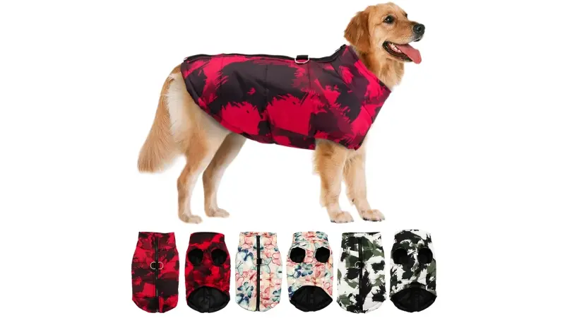 מבצעים באלי אקספרס