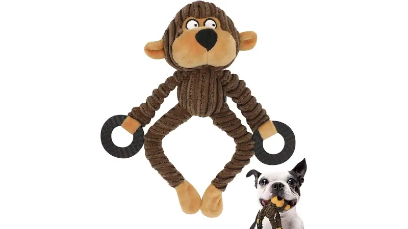 מבצעים באלי אקספרס