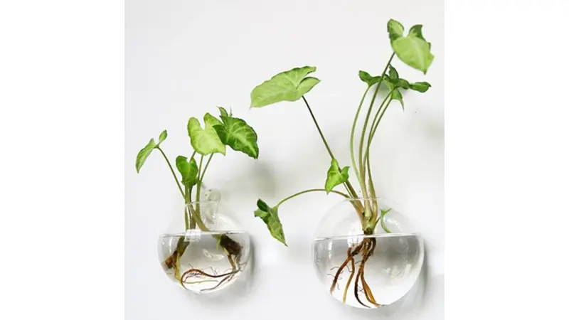 מבצעים באלי אקספרס