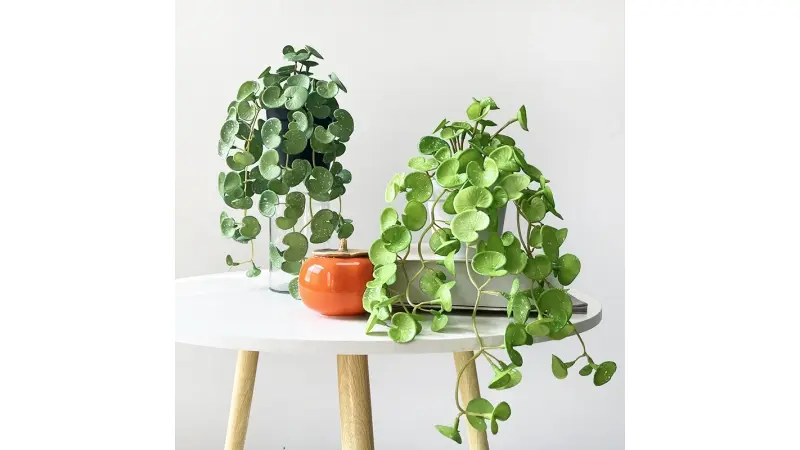 מבצעים באלי אקספרס