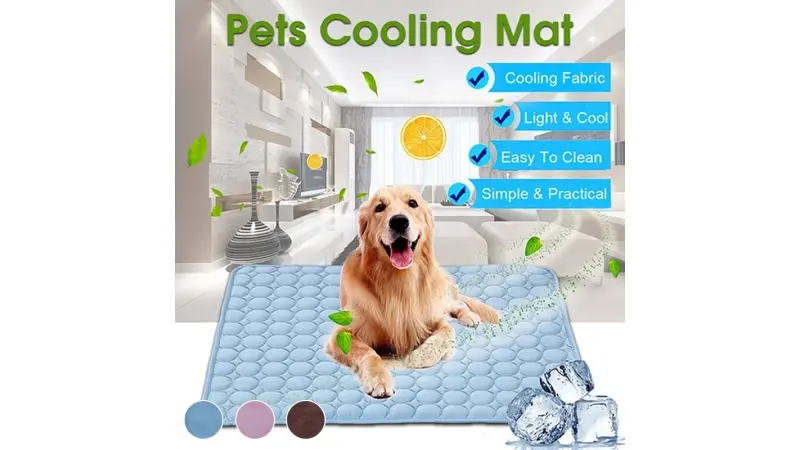 מבצעים באלי אקספרס