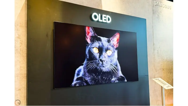 טלוויזיות Samsung Q70D ו-Q60D (צילום: רונן מנדזיצקי)