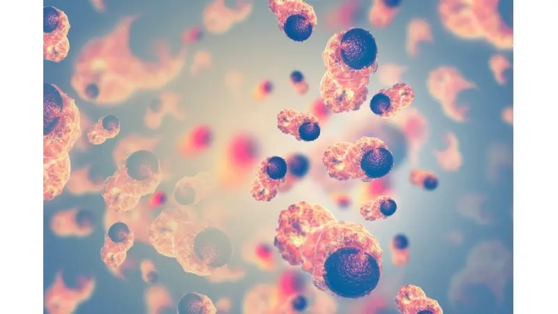 No description available