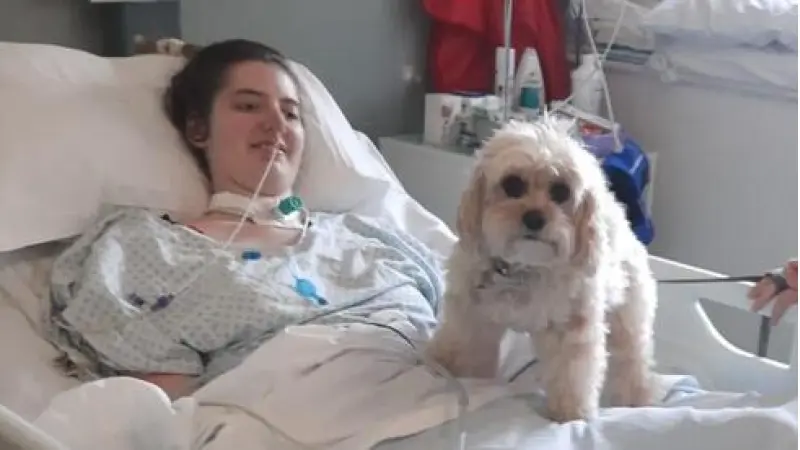 No description available