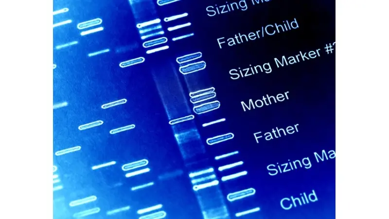 No description available