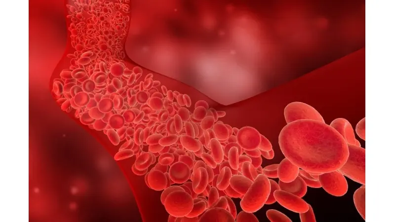 מחקר: פרוטאומיקת פלזמה מזהה סמנים ביולוגיים המנבאים את מחלת פרקינסון עד 7 שנים לפני הופעת התסמינים.  קרדיט תמונה: cones/Shutterstock.com