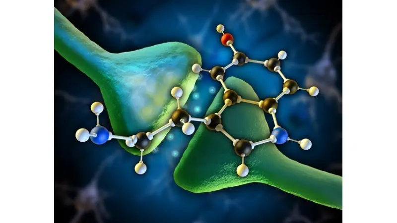 No description available