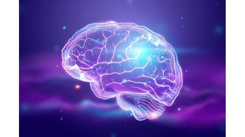 No description available