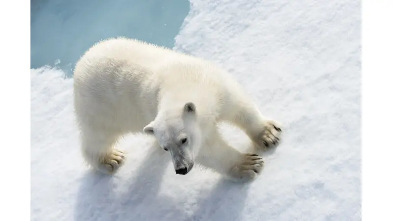 No description available