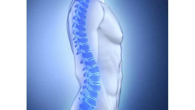 No description available