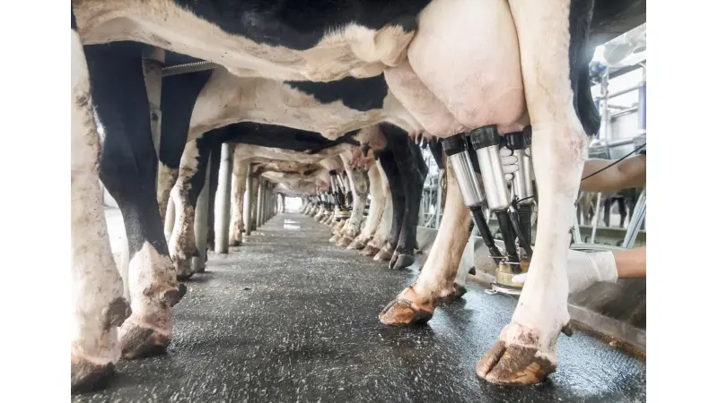 No description available