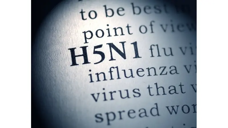 No description available