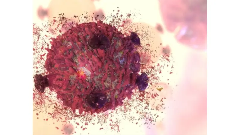 No description available