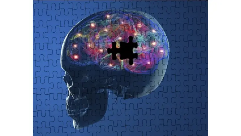 No description available